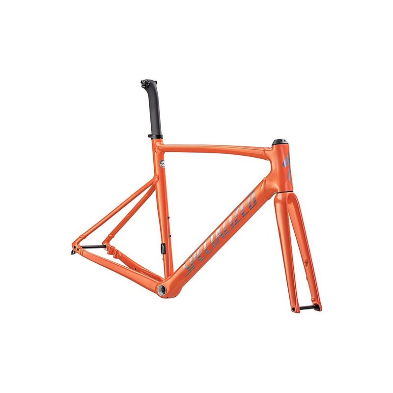 allez sprint frmset gloss cactus bloom/holographic foil 61