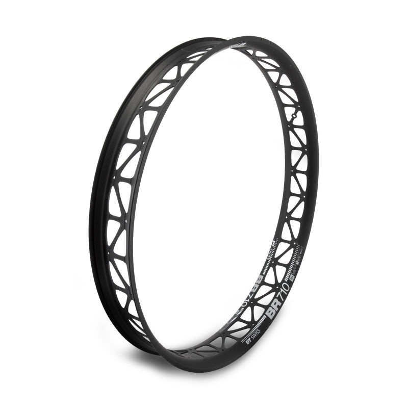 DT Swiss Big Ride Rim – 26 Disc Black 32H Clincher