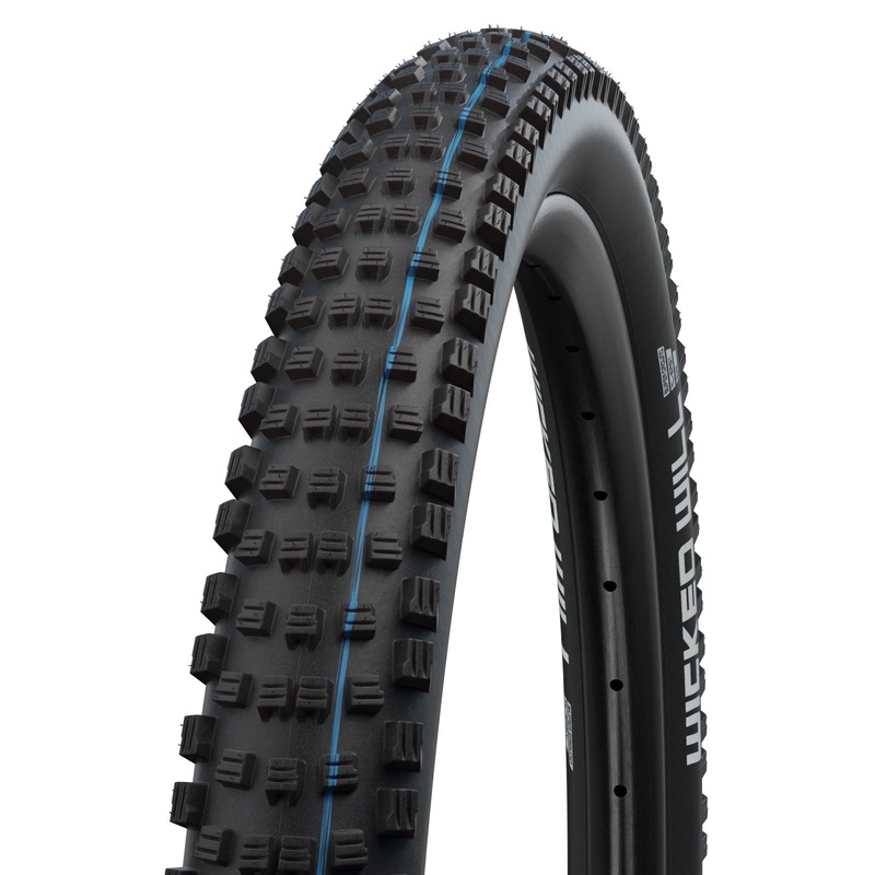 Schwalbe Wicked Will Tire – 29 x 2.4 Tubeless Folding BLK Evolution Line Super Ground Addix SpeedGrip