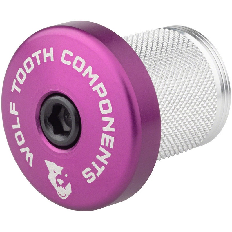 Compression Plug with Integrated Spacer Stem Cap Purple