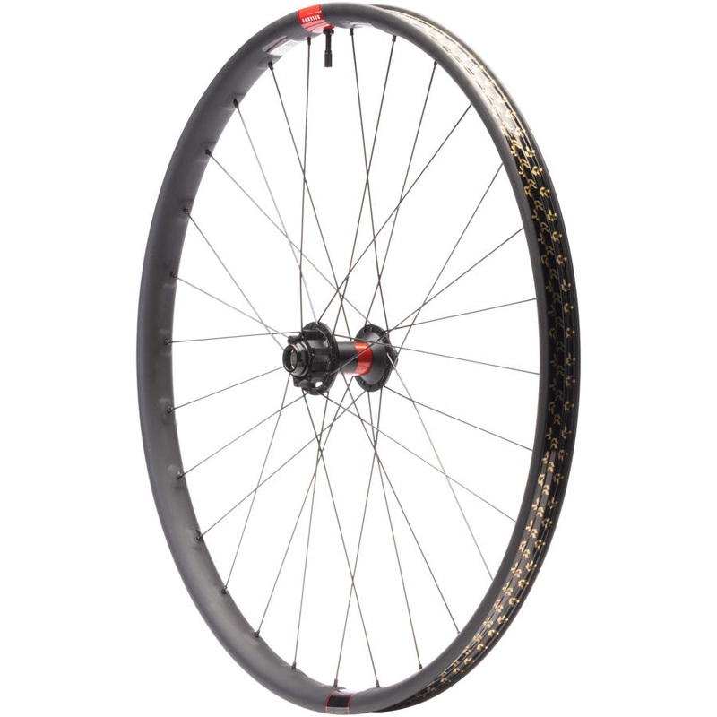 DT 240 / Reserve 30 HD Carbon Front Wheel – 29 20 x 110mm DH Boost 6-Bolt Carbon 28H