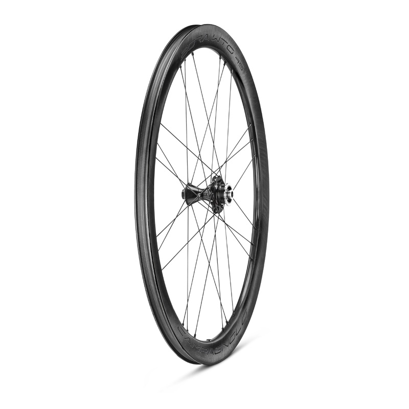 BORA WTO 45 Disc Brake 2WF Dark Front Wheel