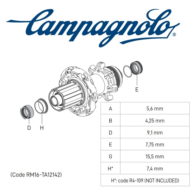 HH12 Kit Zonda/Scirrocco DB Option Kit 135/142 HH12