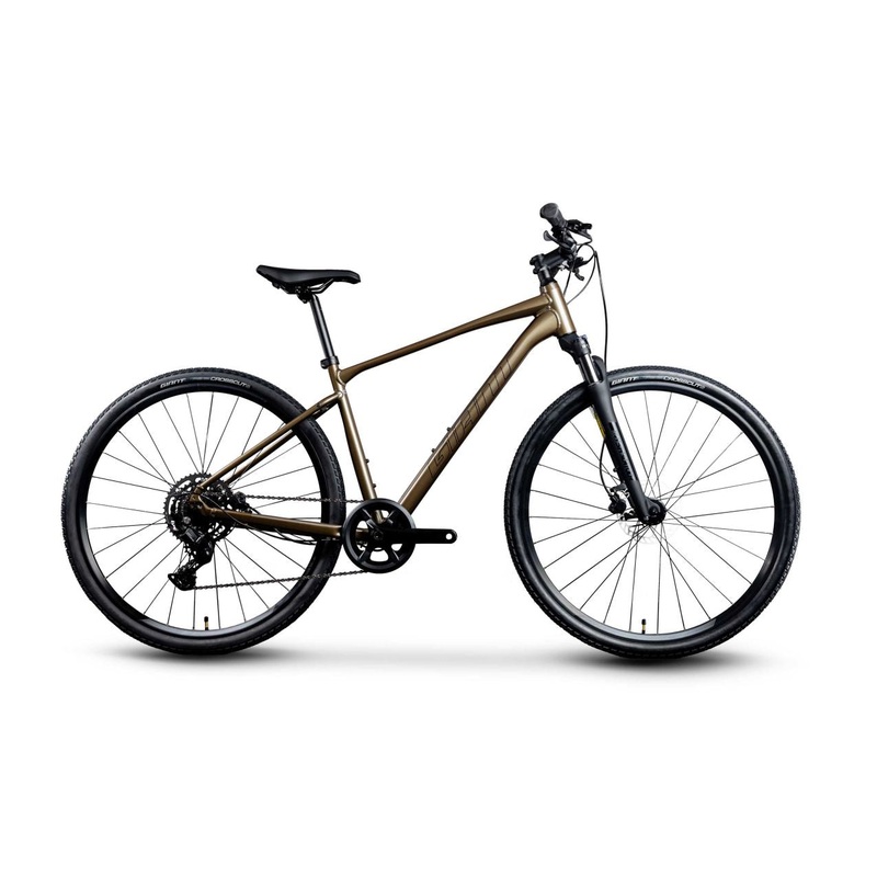 Giant Roam 2 Disc (Pyrite Brown)